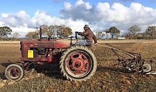 Veterantraktor - Farmall - M. Ca 1950. Fotogen. 6 v. Helt orörd, originalskick. Deltagit i många plö...